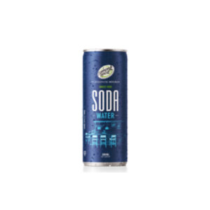 E/HOUSE SODA CAN 250ML