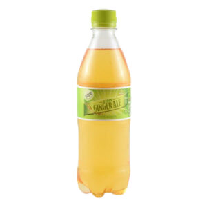 EH DRY GINGER ALE 500ML